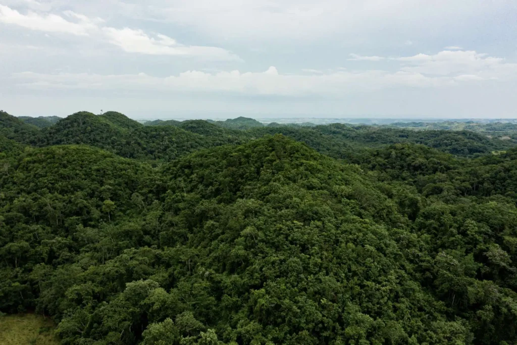 Foresta in Guatemala vista dall'alto