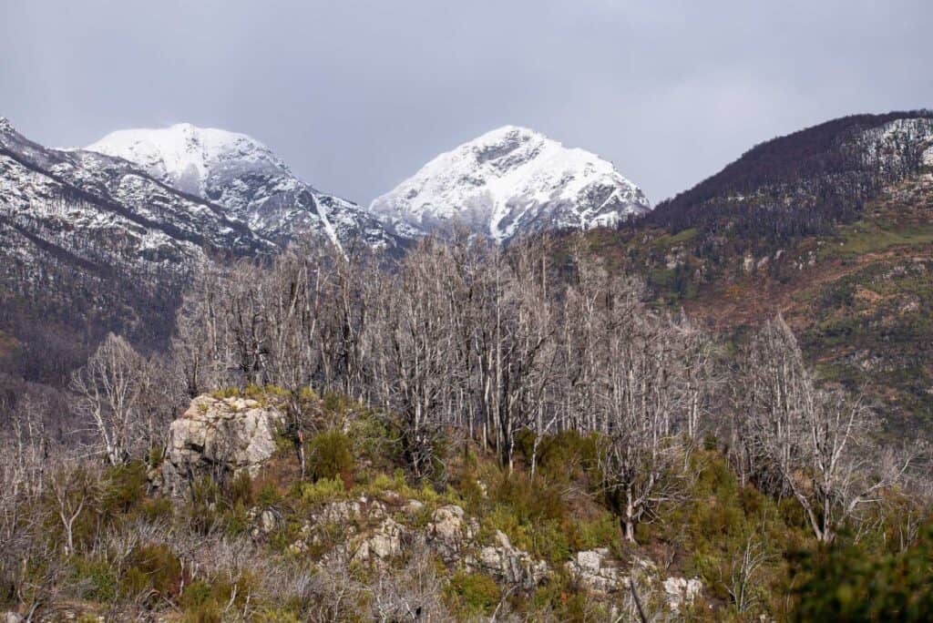 Montagne progetto Amazzonia - zeroCO2