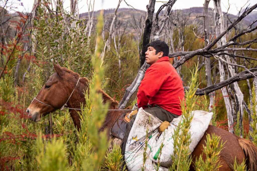 Ragazzo a cavallo progetto Amazzonia - zeroCO2