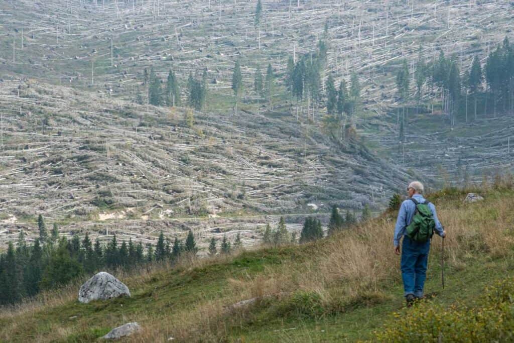 Tempesta Vaia 2019 - Michele Lapini