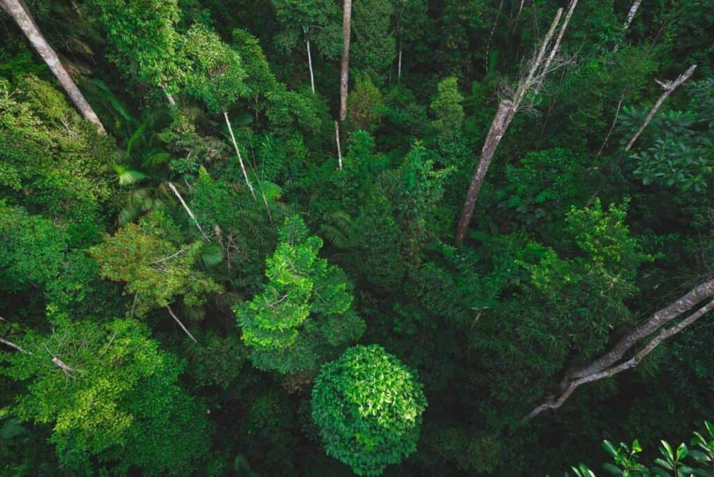 Revolution 2022 zeroCO2 x Flowe