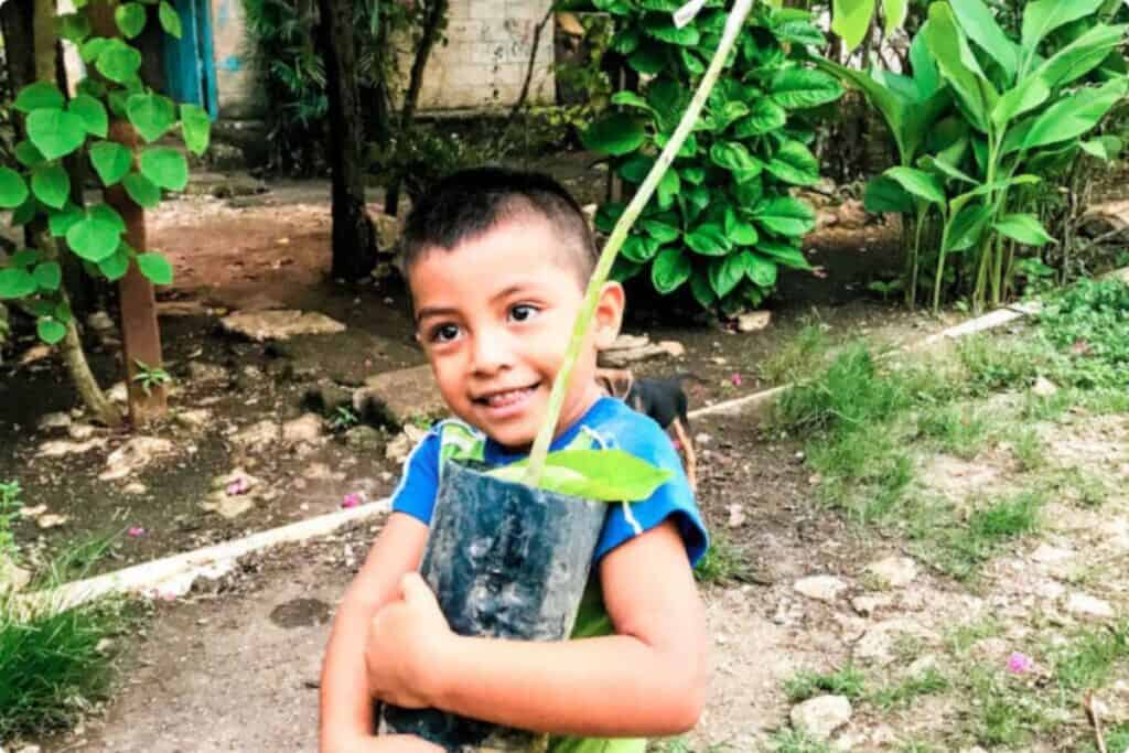 Alberi ad alto impatto sociale