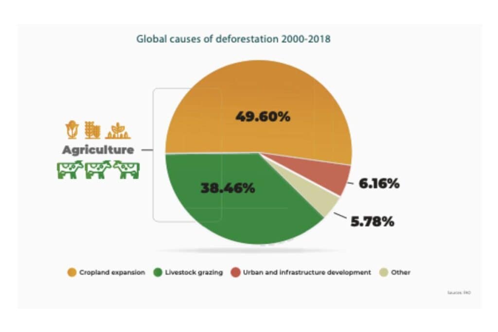 Cause di deforestazione globale 2000-2018
