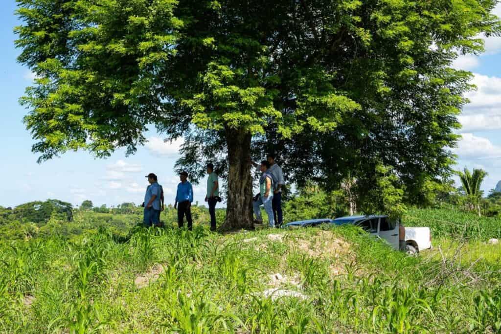 agricoltura e riforestazione per le comunità