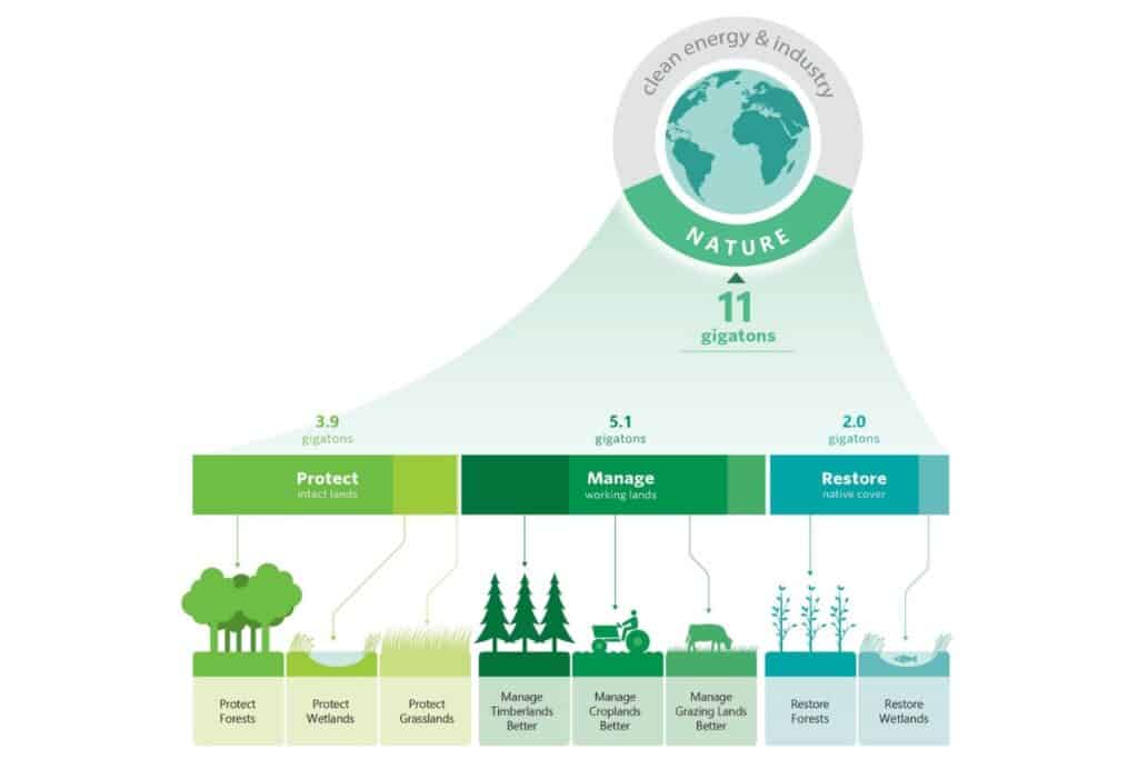 le soluzioni basate sulla natura