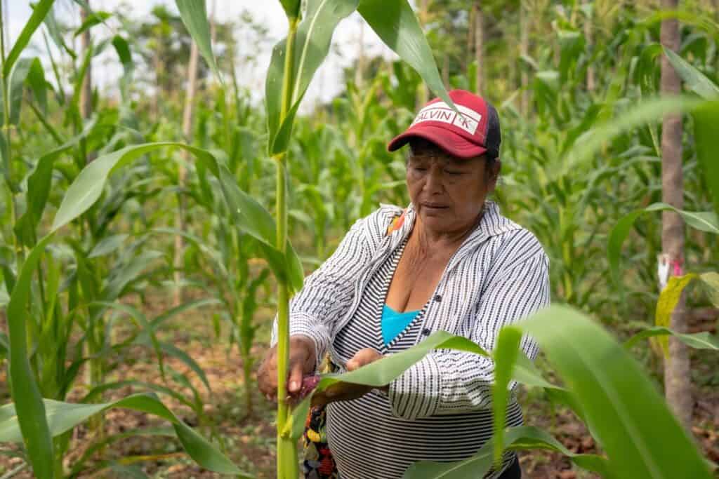 Sviluppo per le donne nelle comunità