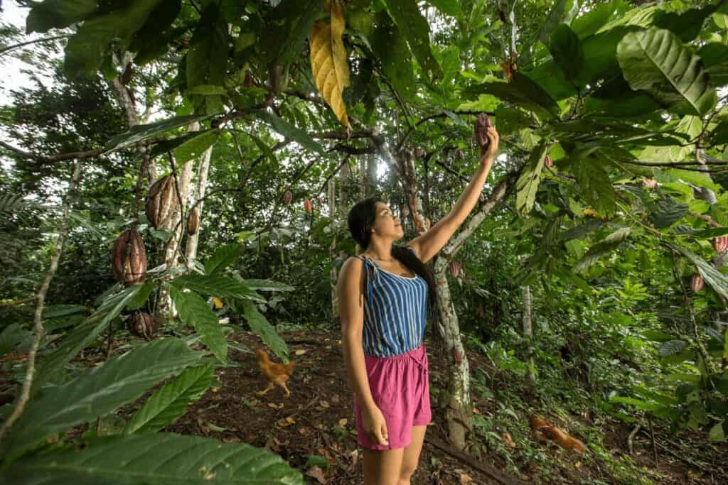 Foresta aziendale Perù