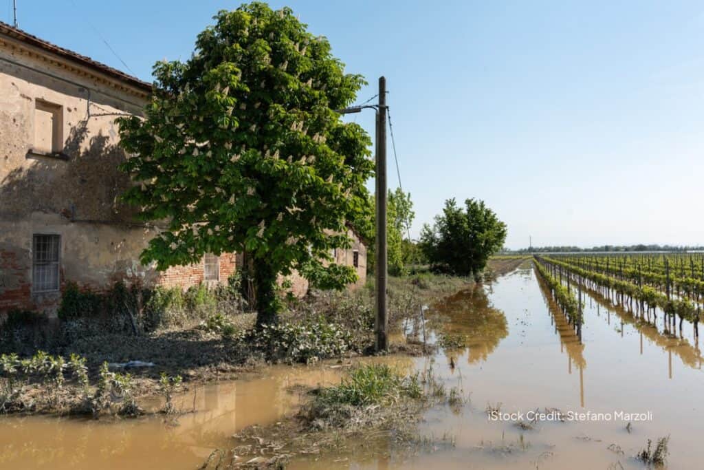 Cambiamento Climatico: Cause, Conseguenze E Soluzioni   ZeroCO2