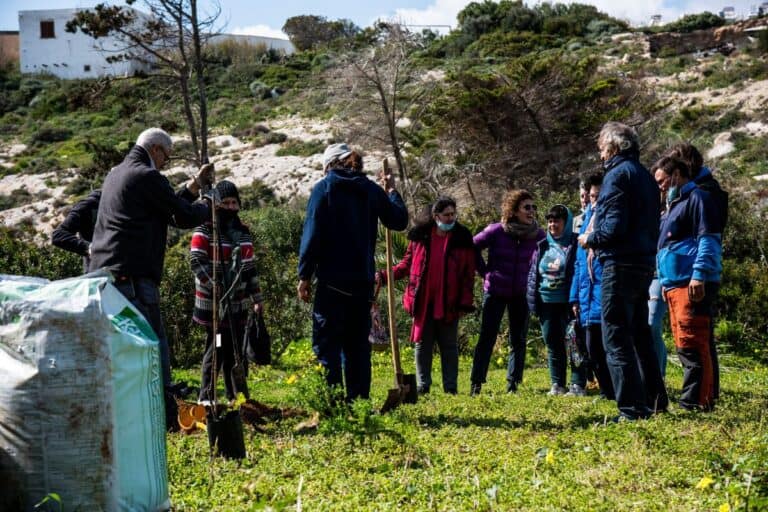 team building nella natura