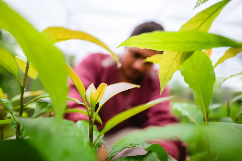 Piante e contadino zeroCO2 vantaggi