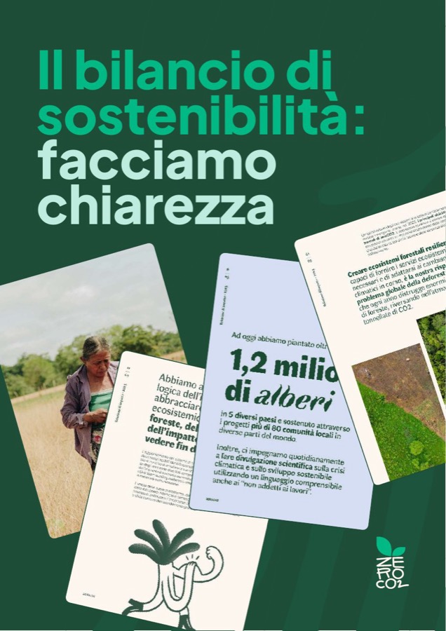 Copertina di «Il bilancio di sostenibilità: facciamo chiarezza»
