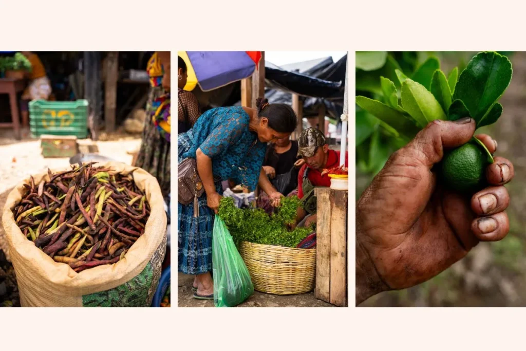 Consumo consapevole SDG 12