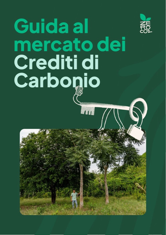 Copertina di «Guida al mercato dei crediti di carbonio»