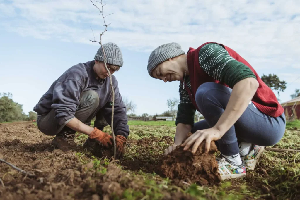 Dipendenti piantando alberi