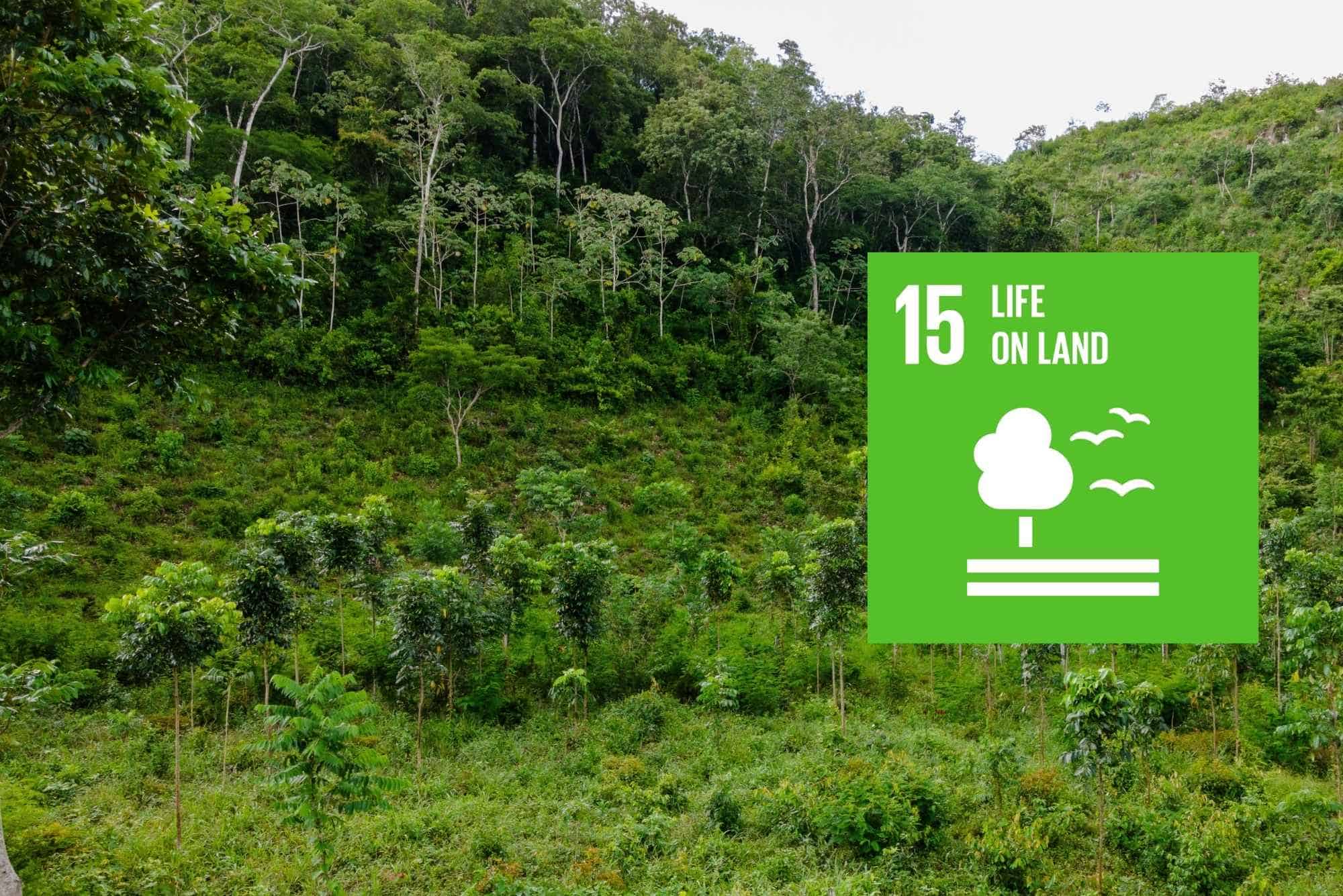Emissioni Scope 3: cosa sono e strategie per ridurle - zeroCO2